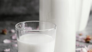 Ingrédients laitiers et nutrition : comment concilier qualité nutritionnelle et plaisir alimentaire ?